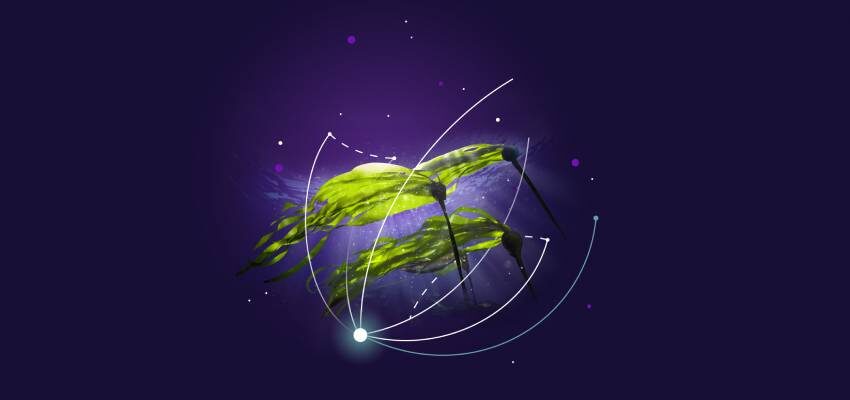 Shaping the energy transition with sustainable power transmission: The energy transition is a tremendous global task