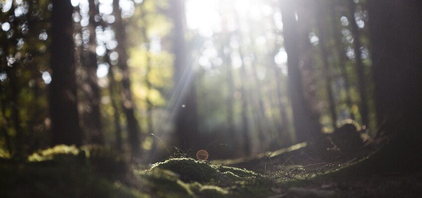 Today our focus is on how and when we shift toward a greener future for all