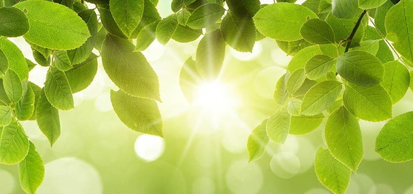 Loss measurement accuracy as key factor for energy saving programmes