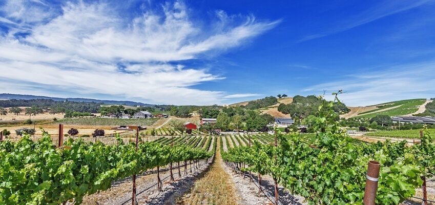 New transmission line and substation proposed for Paso Robles