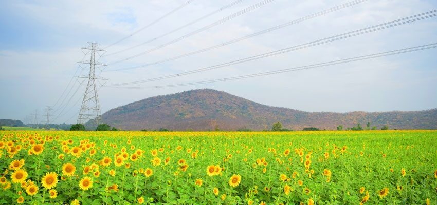 Eskom receives extra loan to extend power transmission grid