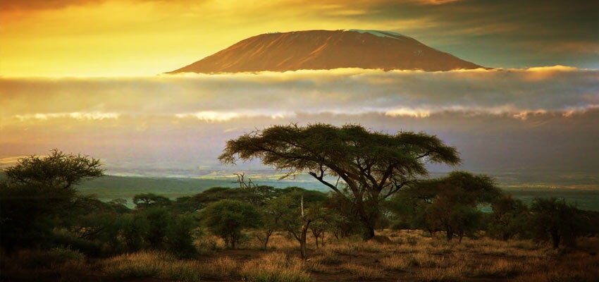 ABB supplying transformers for $24M power boost in Kenya