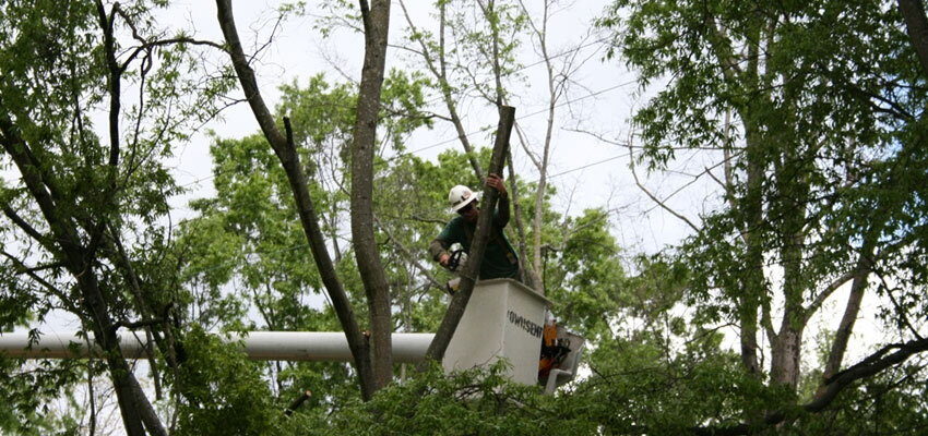 Power supply company over prunes tree next to transformer 9ded0288e863fbe79d863f606cb05c21