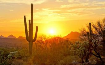 Arizona