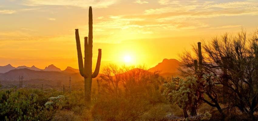 UNSE寻求亚利桑那州230 kV线路的建设许可 Arizona