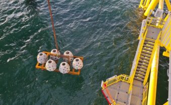 TenneT places artificial reefs near offshore platform Hollandse Kust (west Alpha)