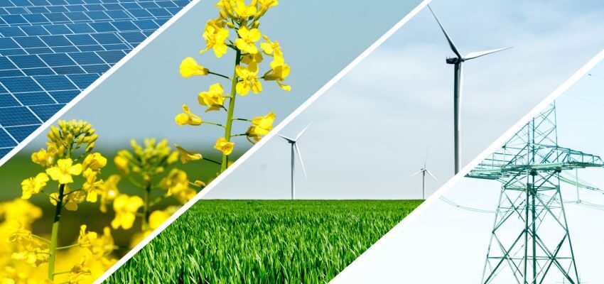 Cargill introduces new rapeseed dielectric fluid for transformers Cargill natural ester oil