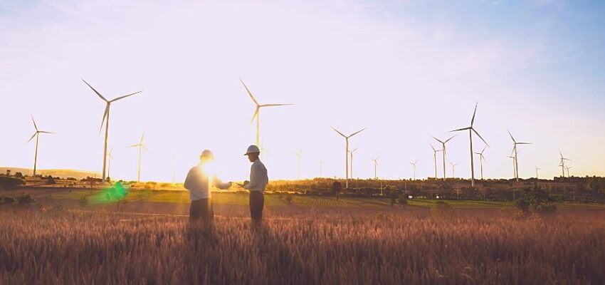 Ducab Group wins cable contract for major Egyptian wind power project Ducab Group contracts wind power project