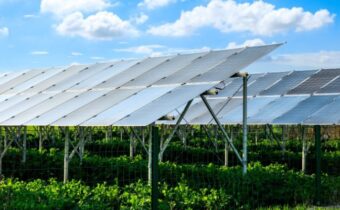 Europe-s-largest-solar-power-Portugal-Iberdrola-Fernando-Pessoa