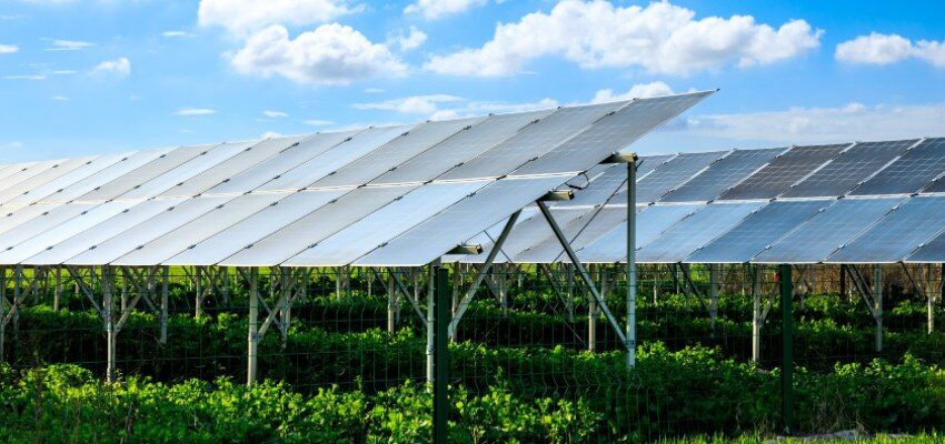 Europe’s largest solar power project underway in Portugal Europe-s-largest-solar-power-Portugal-Iberdrola-Fernando-Pessoa