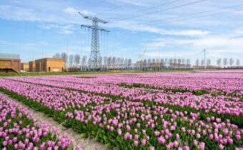 Dutch Stedin makes the substation green and digital
