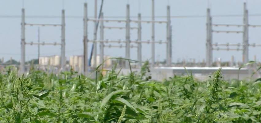 Xcel invests into $23.5 M substation