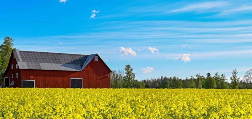 Hitachi ABB Power Grids contributes to Sweden’s sustainable energy transition goals Hitachi ABB Vattenfall