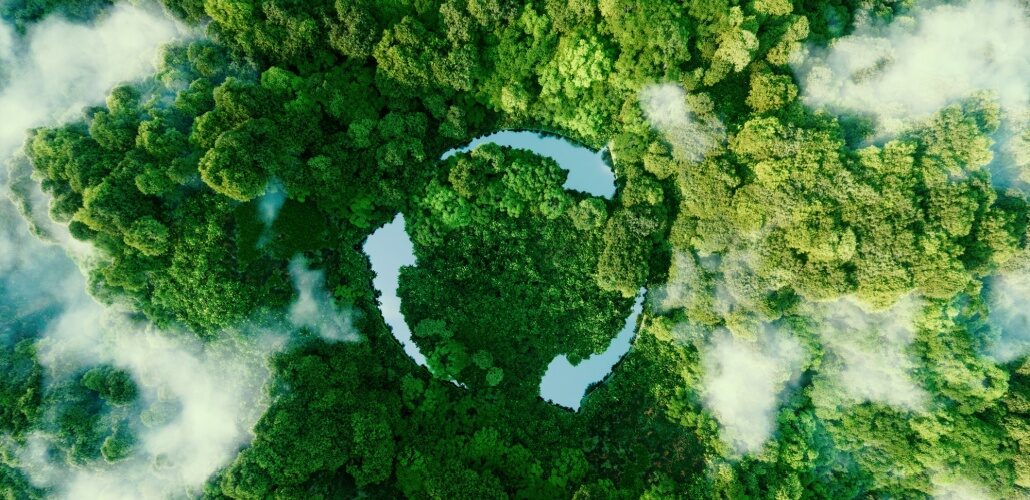 From procurement to end-of-life: A sustainable asset lifecycle