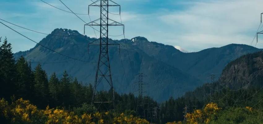 Transelectrica to double cross-border power transmission capacity Romanias-Transelectrica