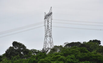 Chinese firm wins Brazil power line tender