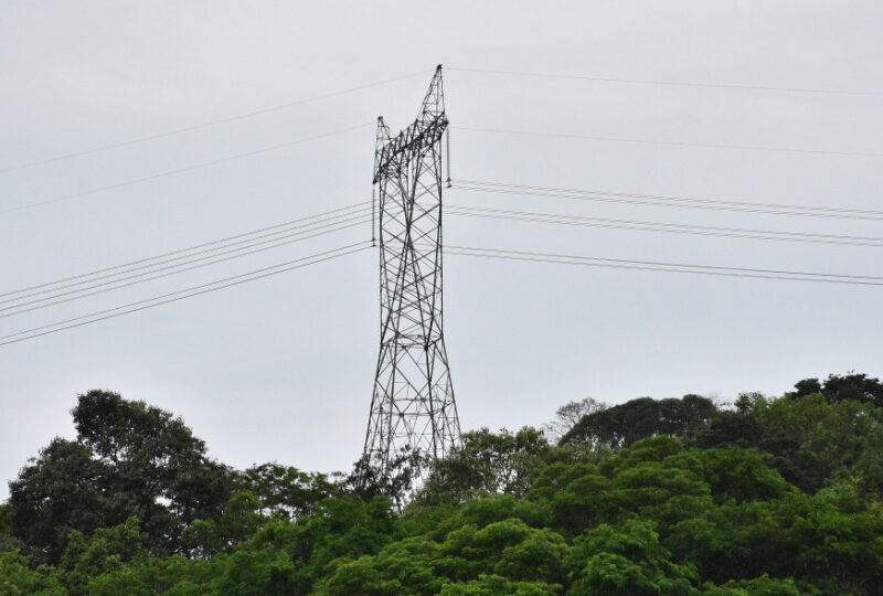 Chinese firm wins Brazil power line tender Chinese firm wins Brazil power line tender