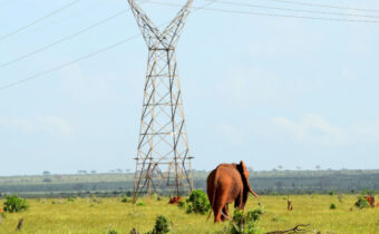 Kenya to expand distribution grid