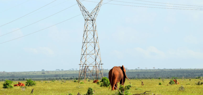 Kenya to expand distribution grid Kenya to expand distribution grid