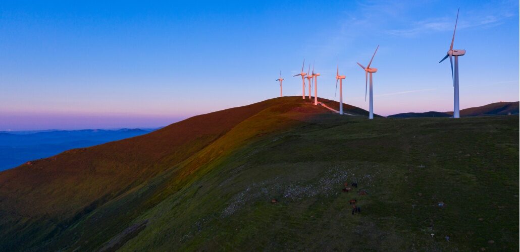 Iberdrola to build El Escudo wind farm Iberdrola to build El Escudo wind farm