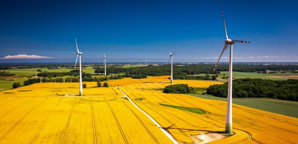 将建造其最大的风电场 Tauron to build its largest wind farm