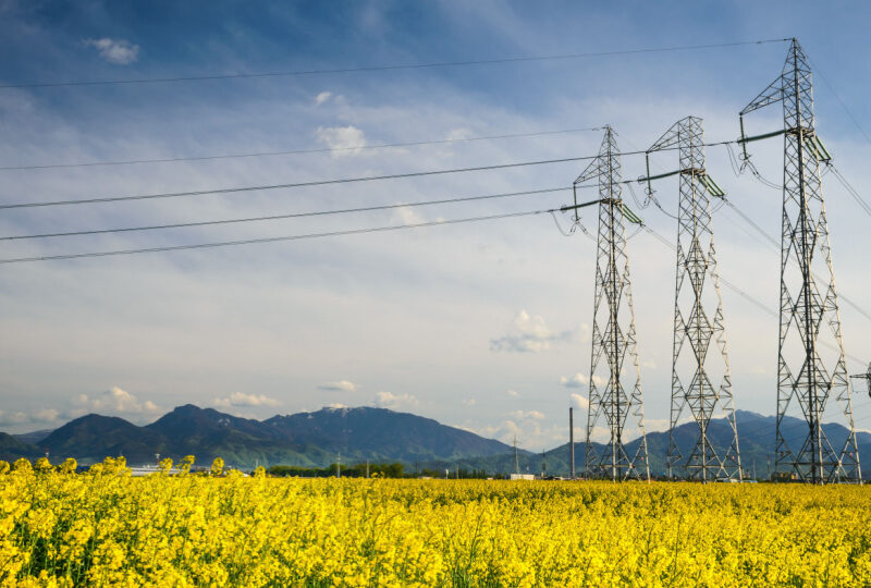 Delgaz Grid takes €600 M syndicated loan for network modernisation Delgaz Grid takes €600 M syndicated loan for network modernisation