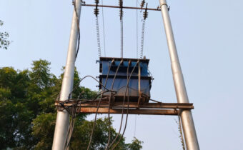 Leopard dies from electrocution after climbing on transformer in Maharashtra