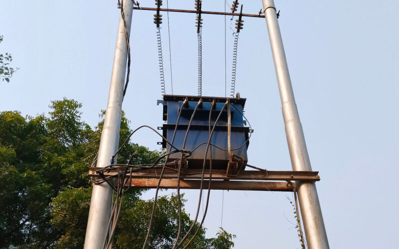 Leopard dies from electrocution after climbing on transformer in Maharashtra Leopard dies from electrocution after climbing on transformer in Maharashtra