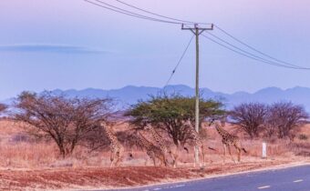 L&T wins T&D orders in Kenya, Middle East