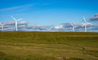 Dorset wind farm begins operation