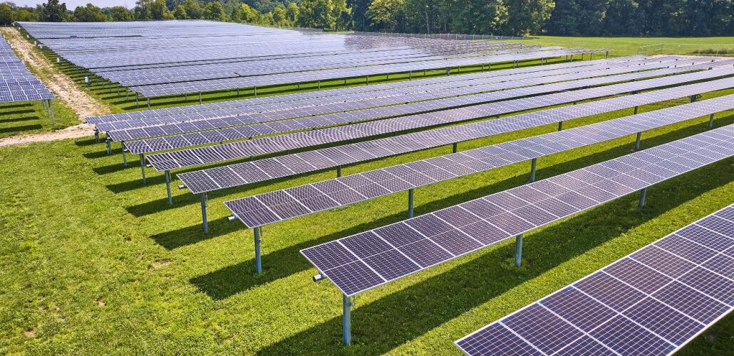 Fox Squirrel Solar 第一阶段启动 Fox Squirrel Solar phase 1 launched
