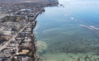 Hawaiian Electric rebuilds transmission line