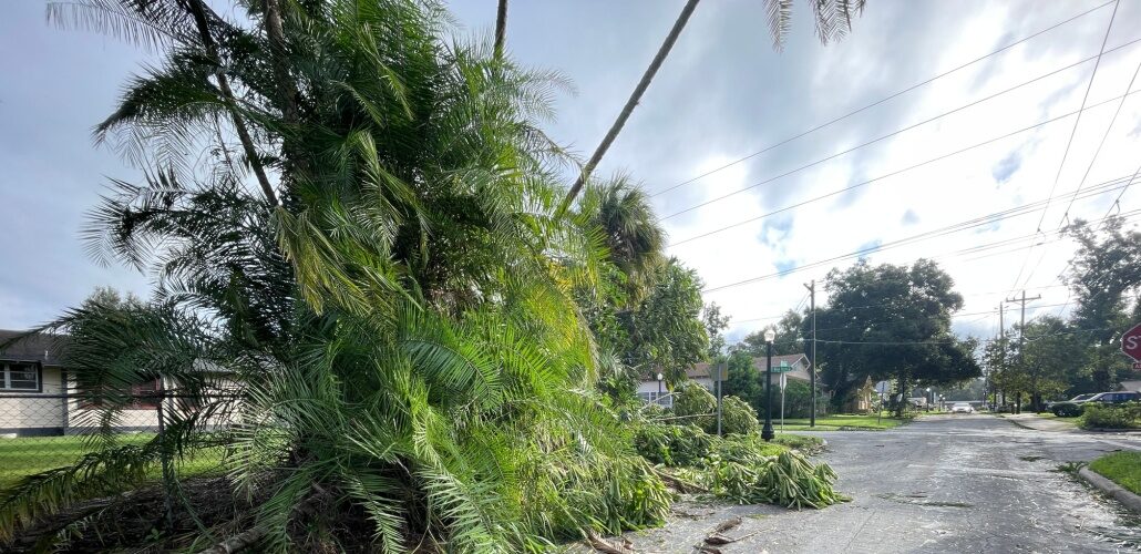 Biden announces over $600 M for grid resilience Biden announces over $600 M for grid resilience