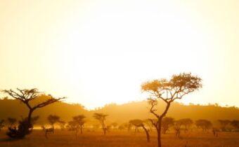 Tanzania’s 50 MW solar plant contract