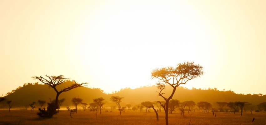 Tanzania’s 50 MW solar plant contract Tanzania’s 50 MW solar plant contract