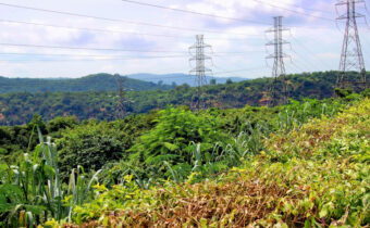WAPP’s $156 M for 330 kV North Core project