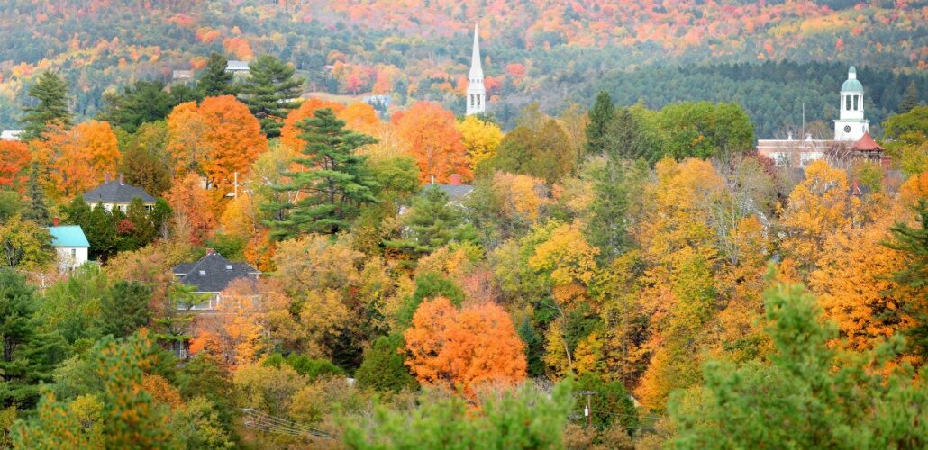 Weidmann to expand manufacturing plant in Vermont Weidmann to expand manufacturing plant in Vermont