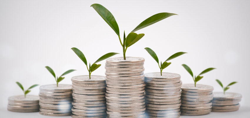 TenneT CEO says bringing in private investors not ruled out