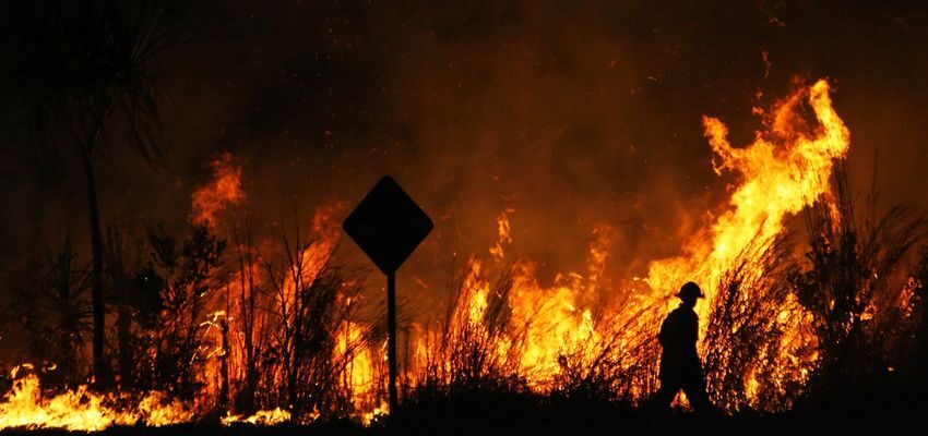 Sydney power under threat as fires destroy substations Sydney-fire-destroy-substations