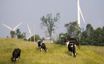Wind farm USA
