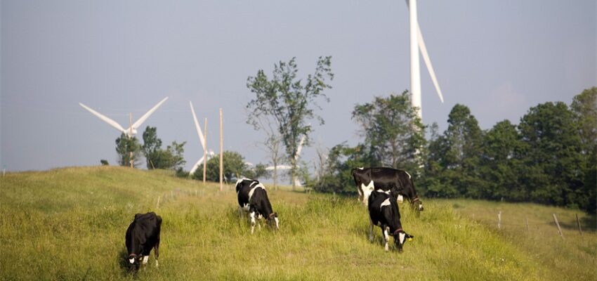 主要批准陆上风电场和输电线路 Wind farm USA