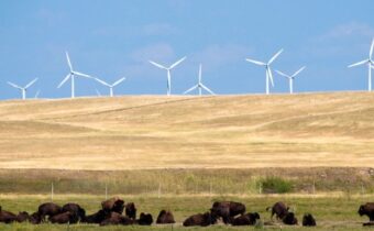 Wind farm