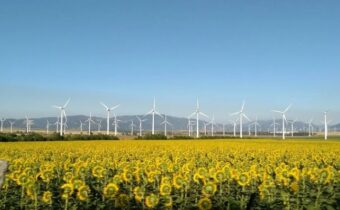 Windfarm Uzbekistan ACWA Power PPA