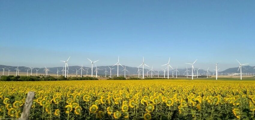 ACWA Power signs $2.4 B PPA in Uzbekistan Windfarm Uzbekistan ACWA Power PPA