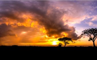 Africa