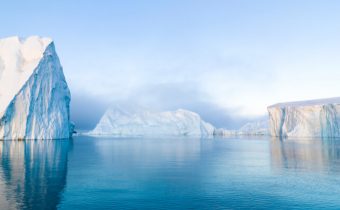 arctic
