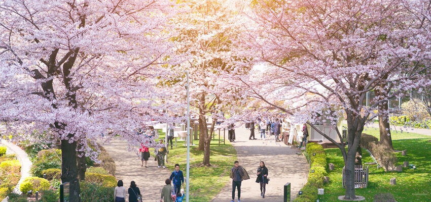 Tokyo to go “zero pole” by 2020 Olympics at a cost of $6.8B