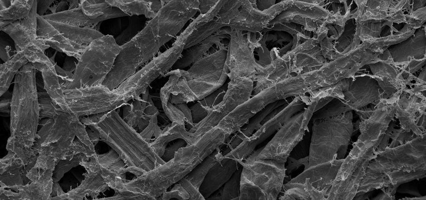 Lamination of Transformerboard using the structural elements of cellulosic fibers
