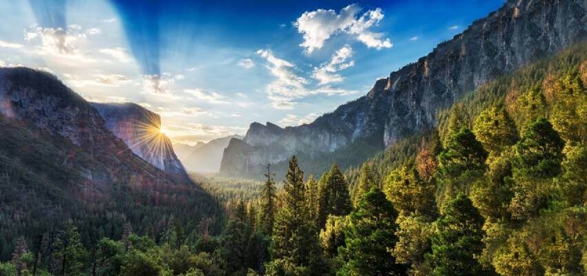 Hitachi ABB Power Grids launches solutions for the environment