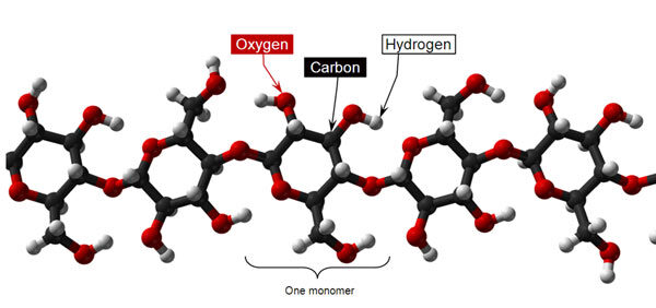Cellulose molecule